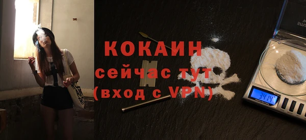 Альфа ПВП Богородск