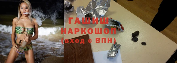 дмт Бородино