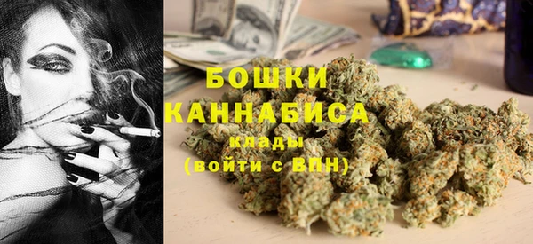 дмт Бородино