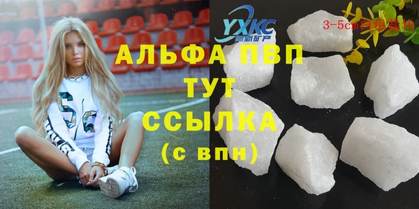 дмт Бородино