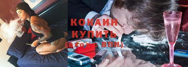 Альфа ПВП Богородск