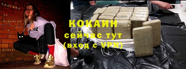 Альфа ПВП Богородск