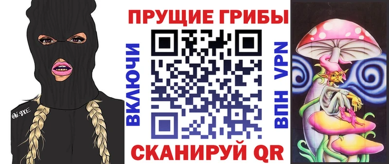 Купить  Шиханы  Галлюциногенные грибы прущие грибы 