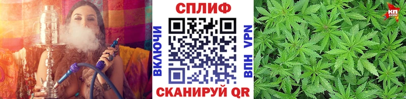 Купить где  Шиханы  Каннабис Amnesia 